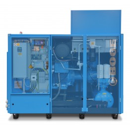 Compresoare cu surub, transmisie directa, Inverter, SLF30-271 /D l 22 ÷ 200 kW